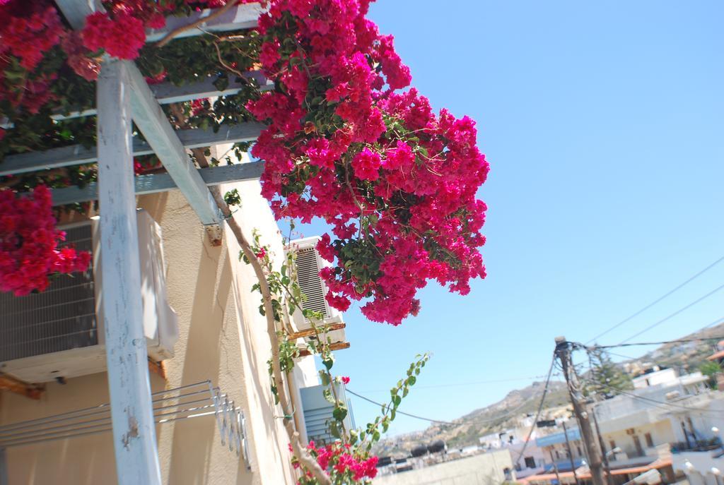 Renia Studios Agia Pelagia  Exterior photo